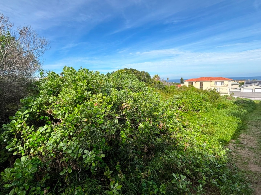 Commercial Property for Sale in Seaview Eastern Cape